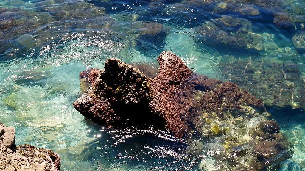 アパート Apartamentos Starnerja En Stella Maris